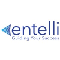 Entelli Consulting logo - Similar company to E & A Transport