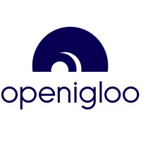openigloo logo - Similar company to Fingerlink®