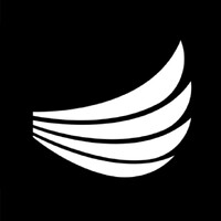 diligenz.ai logo - Similar company to Devsense Ltd.