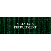 Metadata Recruitment logo - Similar company to Sip'Er