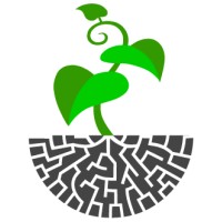 CharTerra logo - Similar company to Vgrid Energy Systems