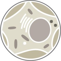 Biological Electron Microscopy logo - Similar company to Biological Optical Microscopy Platform