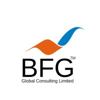 BFG Global Consulting, LLC. logo - Similar company to Bfg Consult