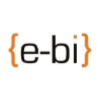 e-BI sp. z o.o. logo - Similar company to Develtio