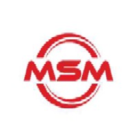 Msm Lift Group Asansör İmalat San. ve Tic. Ltd. Şti. logo - Similar company to Dialift