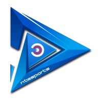 ntesports logo - Similar company to Yoyotech - Esports For Education