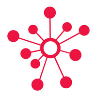 BDS DataSolution logo - Similar company to Bitize
