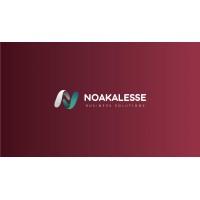 Noakalesse Business Solutions logo - Similar company to Laka Accountants