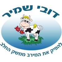 DUBI SHAMIR LTD logo - Similar company to 7 Diamond Group Of Companies