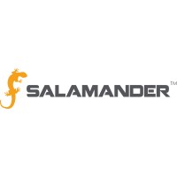 Salamander logo - Similar company to Bdl Partners