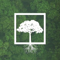 Instituto Perene logo - Similar company to Instituto Escolhas