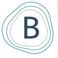 Bridge3 Soluções & Educação em ESG logo - Similar company to Escola Conectada