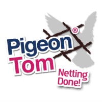 Pigeon Tom