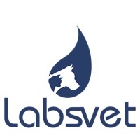 Labsvet logo - Similar company to Vetguard