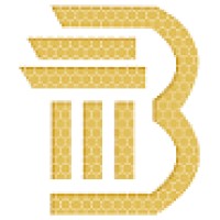 Beehive Infotech logo - Similar company to Zuna Solutions