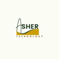 Asher -Team Technology logo - Similar company to Fempact