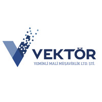 Vektör Yeminli Mali Müşavirlik Ltd.Şti. logo - Similar company to Kent Mali Musavirlik Hiz.Ltd.Şti