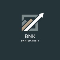 BNK Danışmanlık logo - Similar company to Mastiodotco
