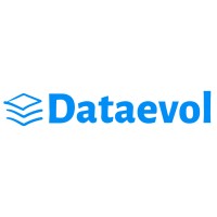 Dataevol logo - Similar company to Dataevolve