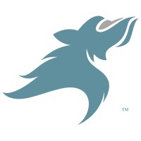 cKapture™ logo - Similar company to Govitworks Llc