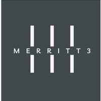 Merritt3 Consulting Group logo - Similar company to Sindyxr (The Seamless Integrated Dynamics Company)