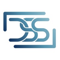 Decision Support Solutions logo - Similar company to Haven Reid Advisory