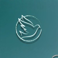 Bihogi Foundation logo - Similar company to Integrated Network Of Youths_Assam