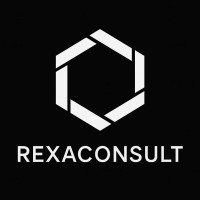 RexaConsult logo - Similar company to Pematrix Technologies