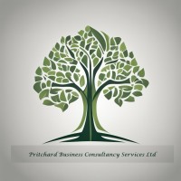 Pritchard Business Consultancy Services Ltd logo - Similar company to G-Tech Mechanical Services Ltd