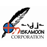 Niskamoon Corporation logo - Similar company to Virtual Surveyor Group