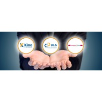 Pt Duta Lestari Sentratama (Kino Group)