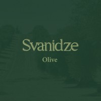 Svanidze Olive • სვანიძის ზეთისხილი logo - Similar company to Ancient Valley