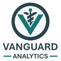 Vanguard Analytics logo - Similar company to Ph Partners