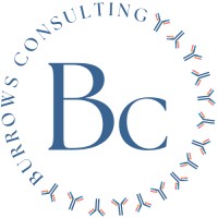 Burrows Consulting logo - Similar company to Centre For Collaboration, Motivation And Innovation (Ccmi)