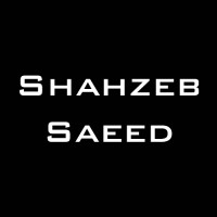 Shahzeb Saeed logo - Similar company to Bizzds