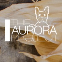 The Aurora Project eu logo - Similar company to Lost & Found