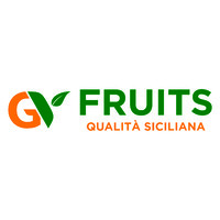 Gv Fruits logo - Similar company to Gianni Stea Import Export
