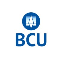 BCU Financial Group logo - Similar company to Ideal System Co.
