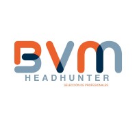 BVM Empleos logo - Similar company to Setium S.A. De C.V.
