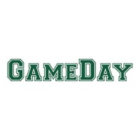 GameDay logo - Similar company to Sherr Puttmann Akins Lamb Pc
