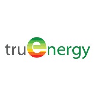Truenergy - Engineering and Energy logo - Similar company to Light Smart Consulting