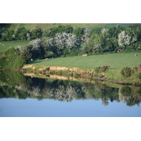 River Liffey Watch logo - Similar company to Co.Cre8 Ltd