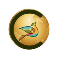 Fly Chaffinch logo - Similar company to Cielo Fly