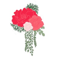 Blossom Salon And Spa