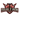 Double Iron Music logo - Similar company to Max International Engineering Group