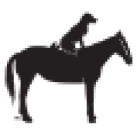 Dog On A Horse