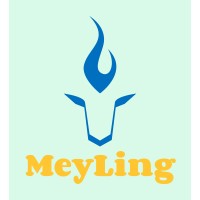MeyLing Technologies logo - Similar company to Meisparkz Consultancy Services Private Limited
