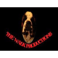 TheWalkProductions logo - Similar company to Stage Cultuur Inclusief