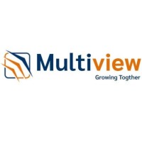 Multiview Financial Services LLP logo - Similar company to Apv Finserv