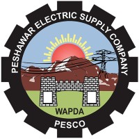 Peshawar Electric Supply Company (PESCO) logo - Similar company to Bizztech Solution